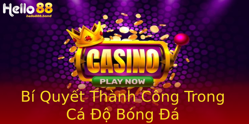 Bí Quyết Thành Công Trong Cá Độ Bóng Đá Bí Quyết Thành Công Trong Cá Độ Bóng Đá