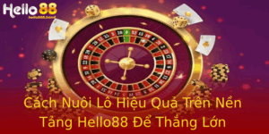 Cách Nuôi Lô Hiệu Quả Trên Nền Tảng Hello88 Để Thắng Lớn 7 Cach Nuoi Lo Hieu Qua Tren Nen Tang Hello88 E Thang Lon
