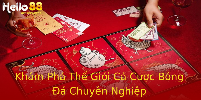Khám Phá Thế Giới Cá Cược Bóng Đá Chuyên Nghiệp Khám Phá Thế Giới Cá Cược Bóng Đá Chuyên Nghiệp