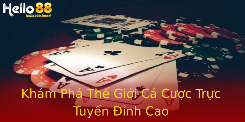 Khám Phá Thế Giới Cá Cược Trực Tuyến Đỉnh Cao Khám Phá Thế Giới Cá Cược Trực Tuyến Đỉnh Cao