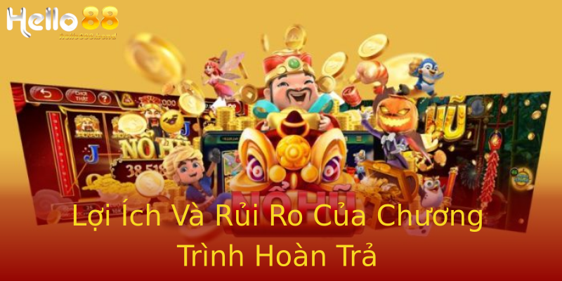 Lợi Ích Và Rủi Ro Của Chương Trình Hoàn Trả