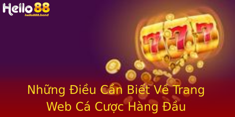 Những Điều Cần Biết Về Trang Web Cá Cược Hàng Đầu Những Điều Cần Biết Về Trang Web Cá Cược Hàng Đầu