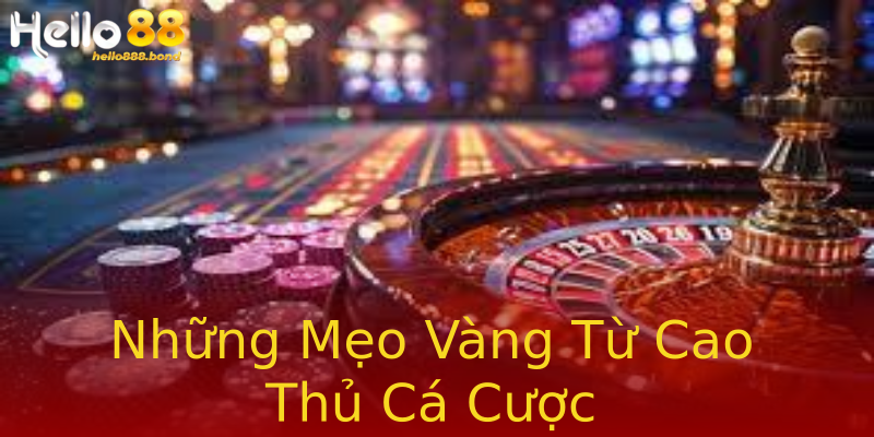 Những Mẹo Vàng Từ Cao Thủ Cá Cược Những Mẹo Vàng Từ Cao Thủ Cá Cược