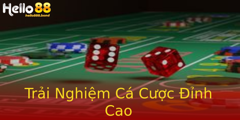 Trải Nghiệm Cá Cược Đỉnh Cao Trải Nghiệm Cá Cược Đỉnh Cao